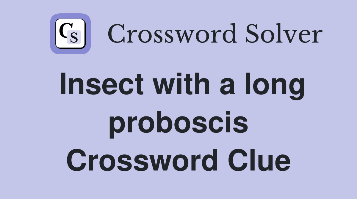 Insect with a long proboscis Crossword Clue