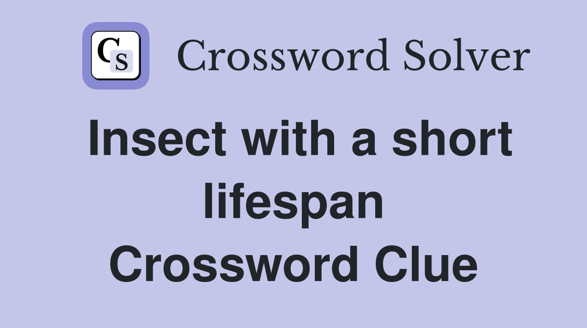 Insect with a short lifespan Crossword Clue