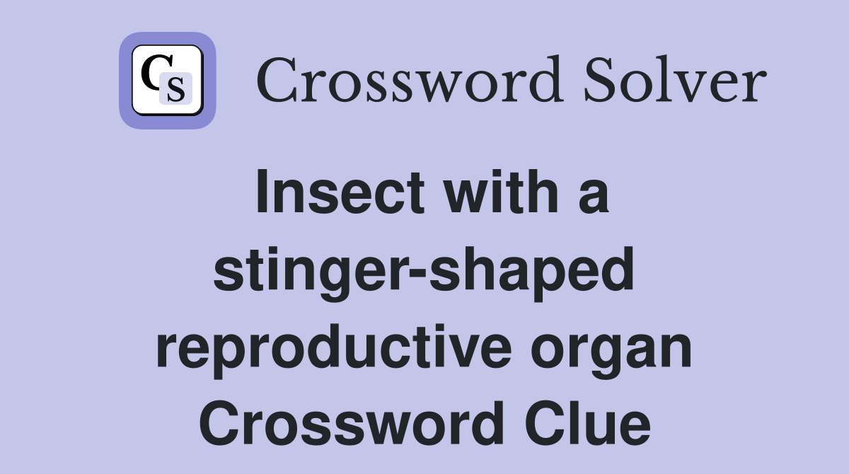 Insect with a stinger-shaped reproductive organ Crossword Clue