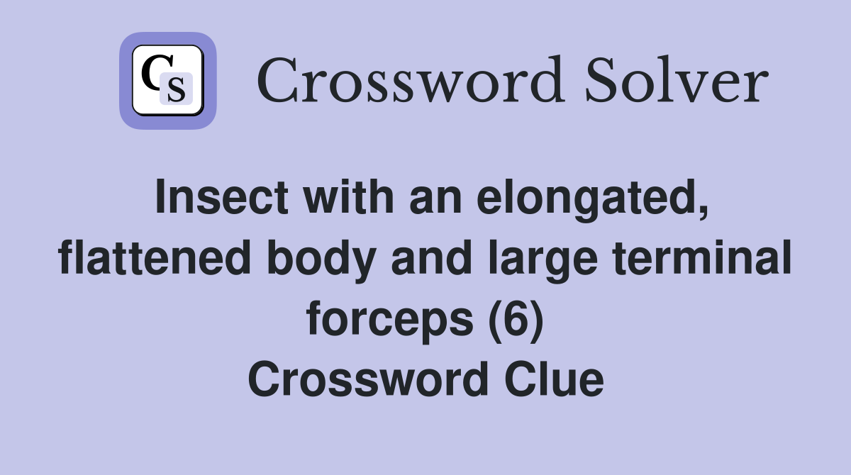 Insect with an elongated, flattened body and large terminal forceps (6) Crossword Clue