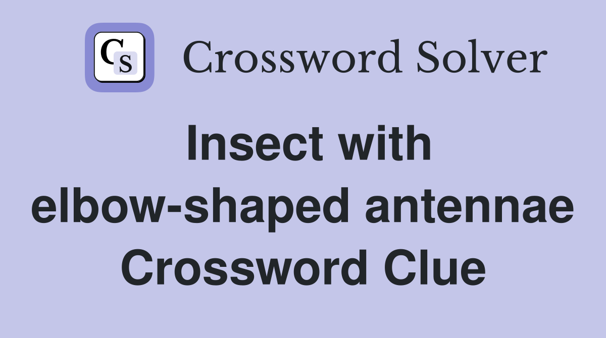 Insect with elbow-shaped antennae Crossword Clue
