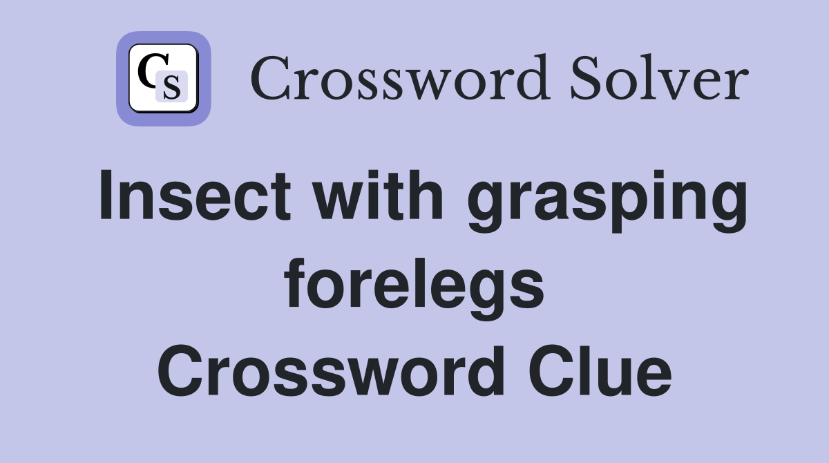 Insect with grasping forelegs Crossword Clue
