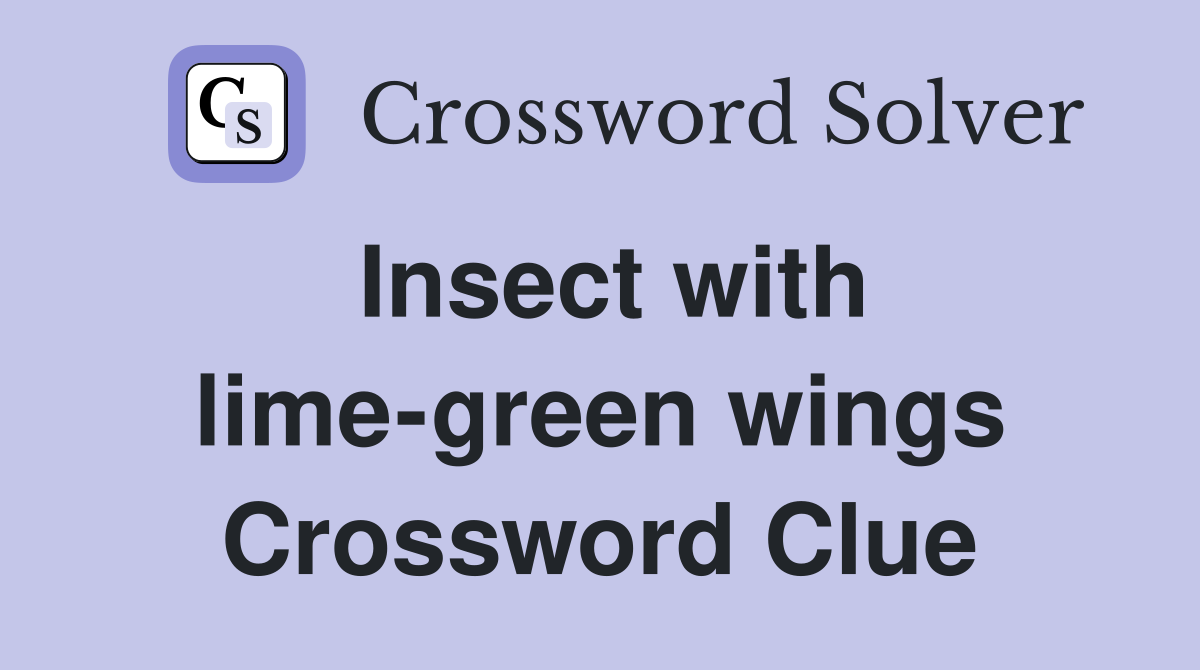 Insect with lime-green wings Crossword Clue