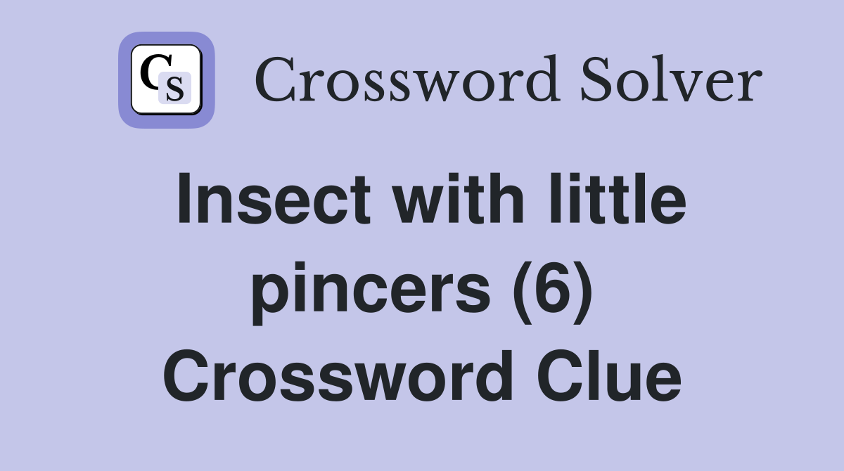 Insect with little pincers (6) Crossword Clue