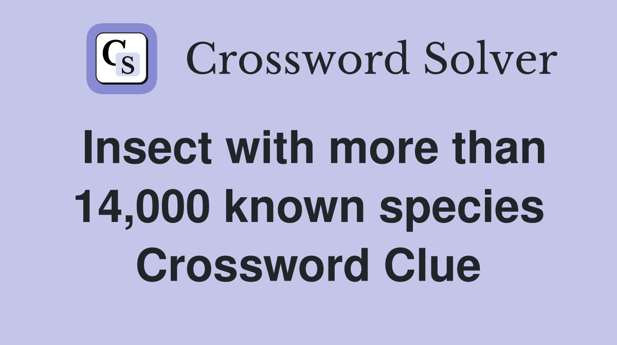 Insect with more than 14,000 known species Crossword Clue