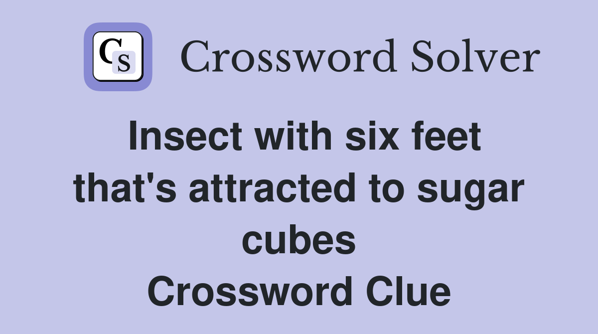 Insect with six feet that's attracted to sugar cubes Crossword Clue