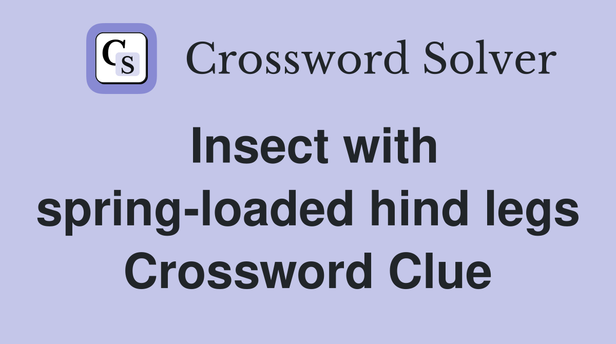 Insect with spring-loaded hind legs Crossword Clue