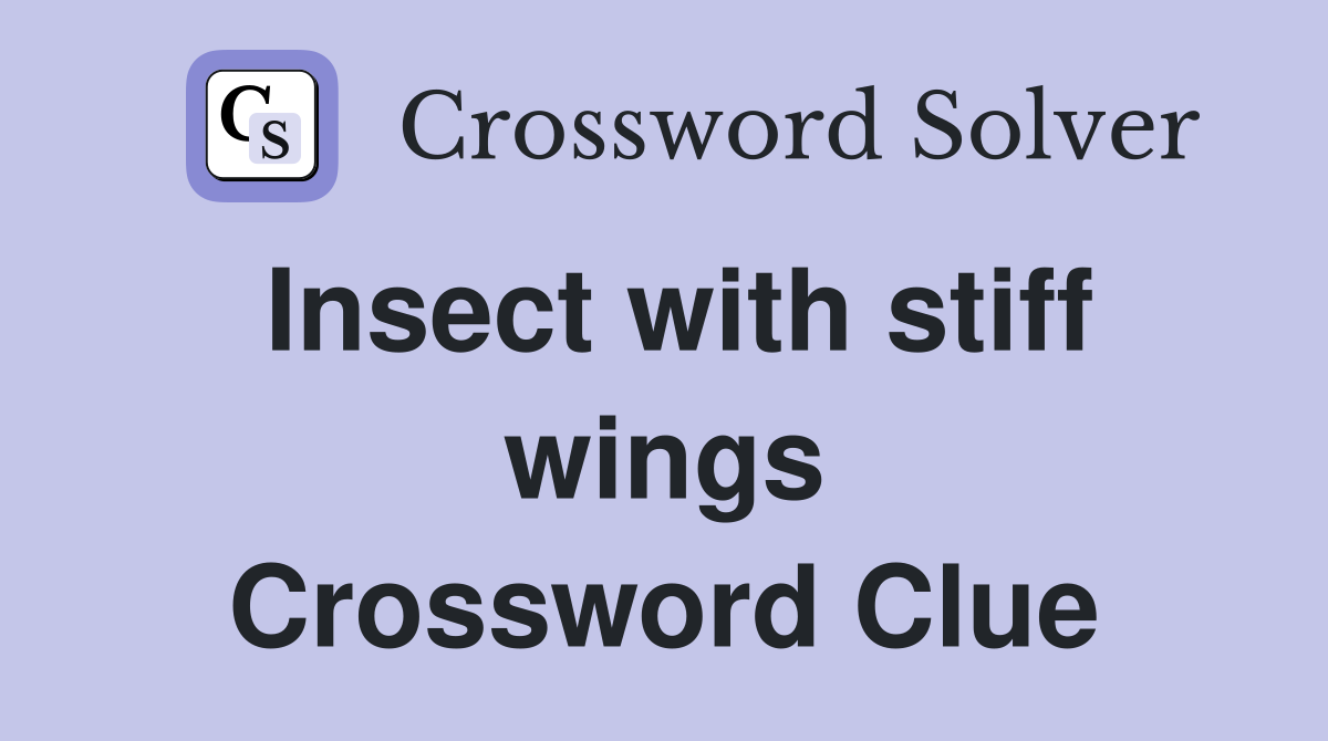 Insect with stiff wings Crossword Clue