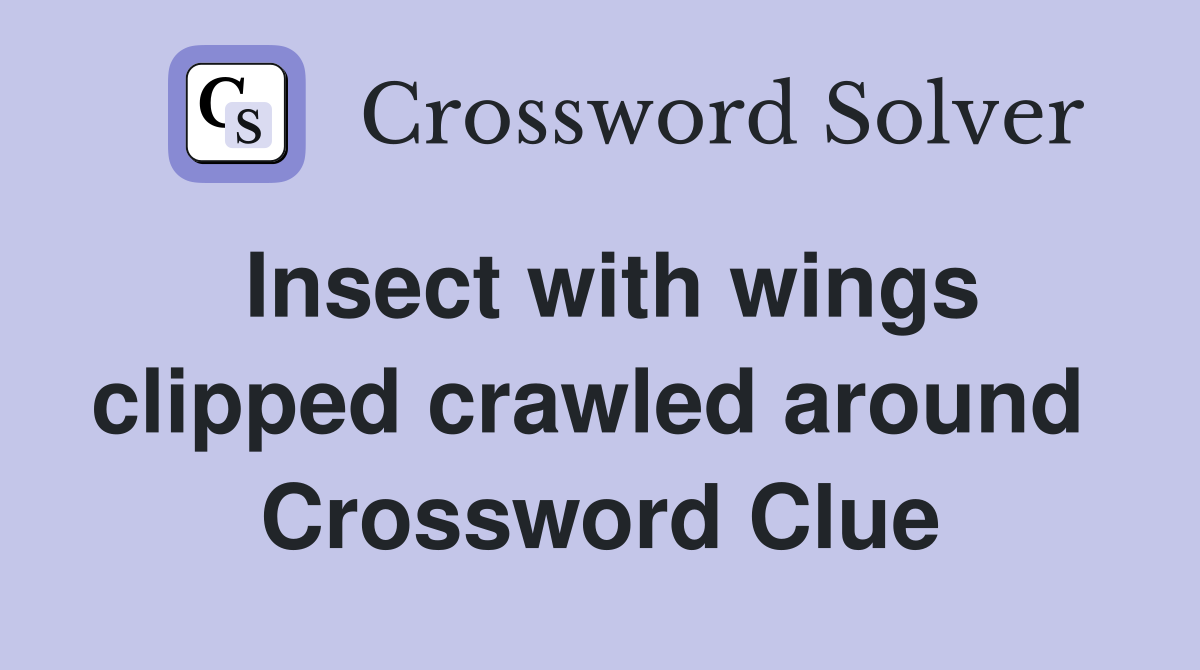 Insect with wings clipped crawled around  Crossword Clue
