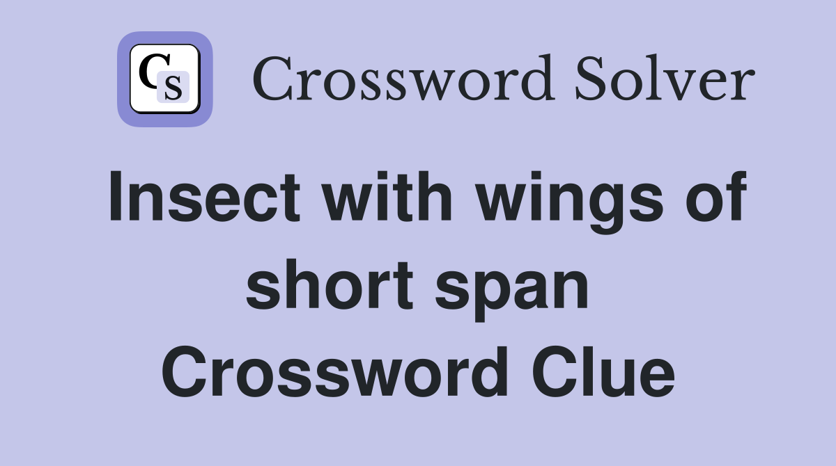 Insect with wings of short span Crossword Clue