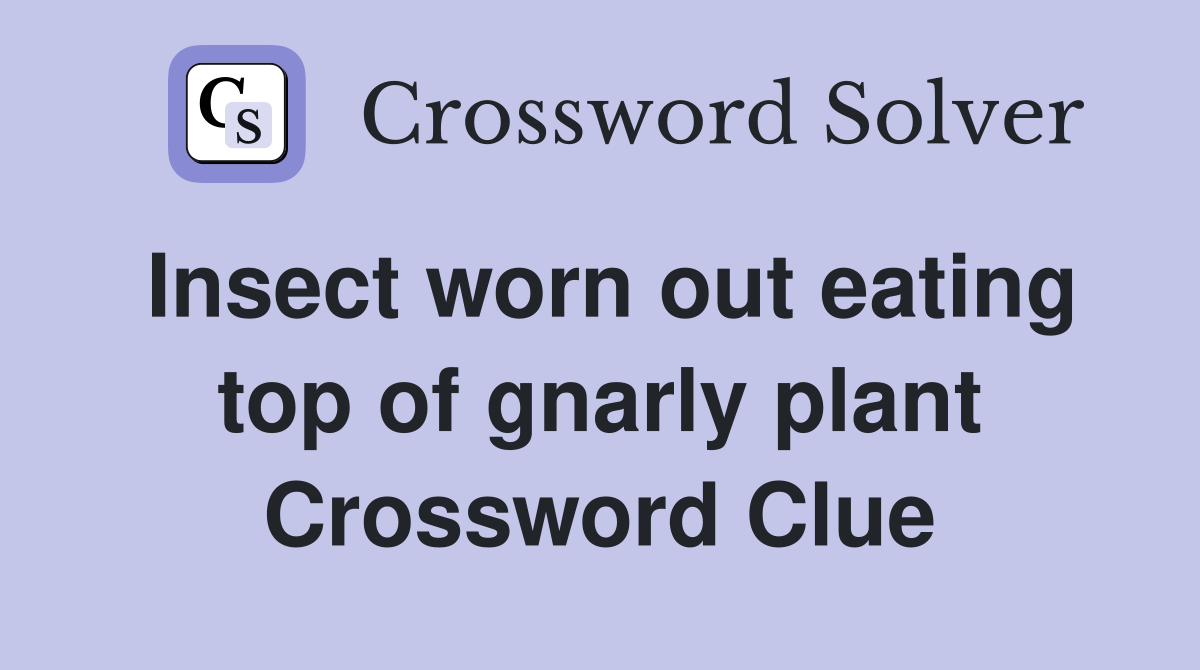 Insect worn out eating top of gnarly plant Crossword Clue