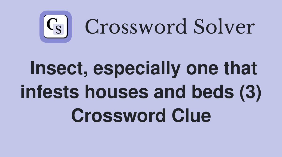 Insect, especially one that infests houses and beds (3) Crossword Clue