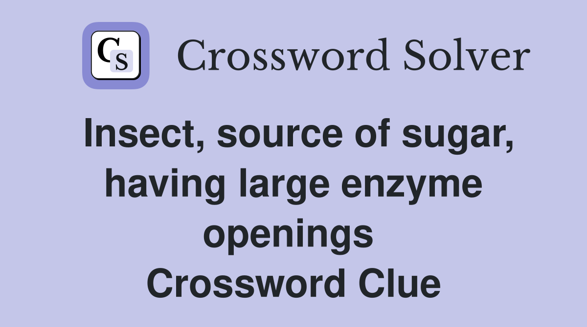 Insect, source of sugar, having large enzyme openings  Crossword Clue