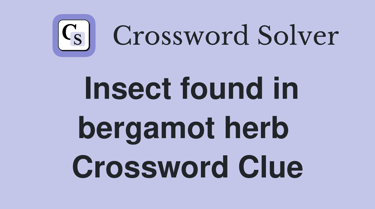 Insect found in bergamot herb  Crossword Clue