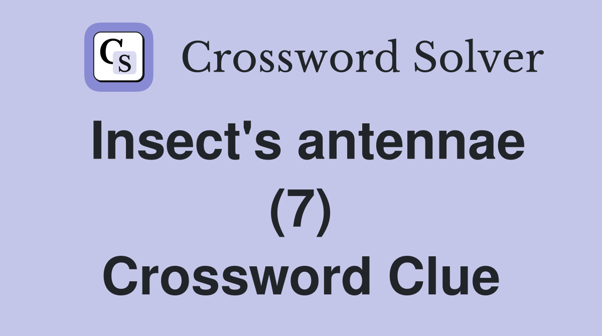 Insect's antennae (7) Crossword Clue