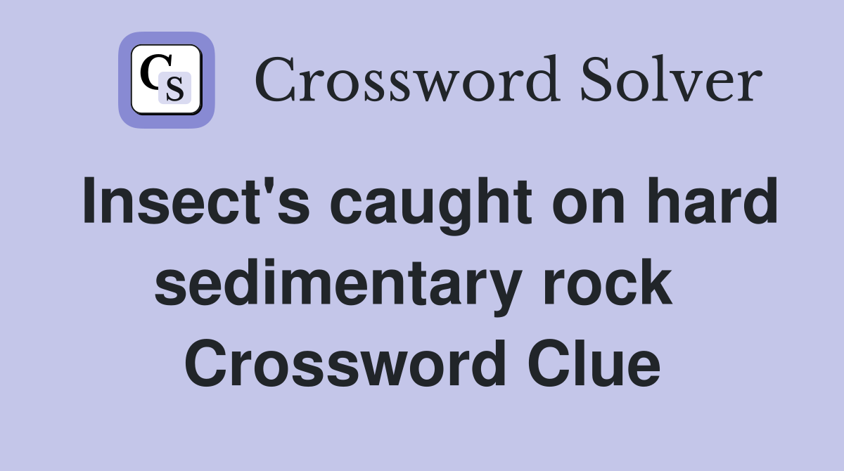 Insect's caught on hard sedimentary rock  Crossword Clue