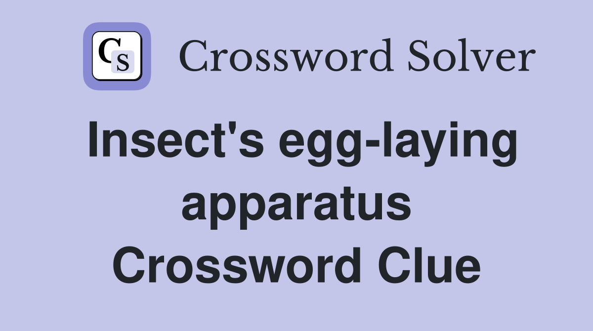 Insect's egg-laying apparatus Crossword Clue