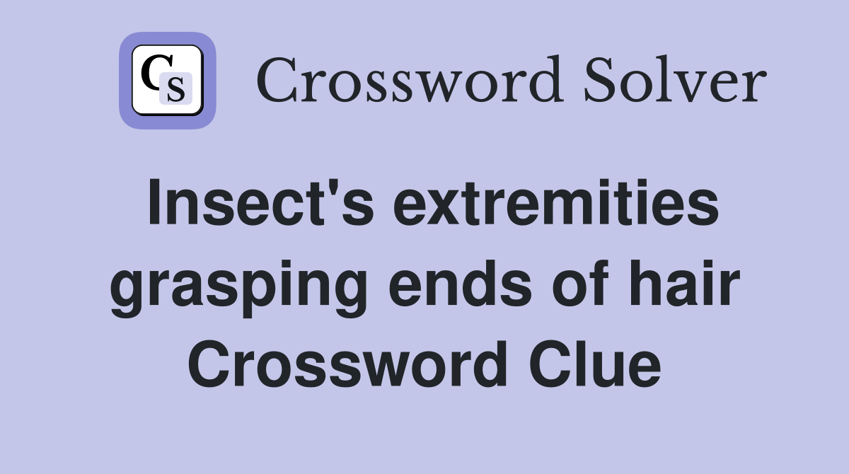 Insect's extremities grasping ends of hair Crossword Clue