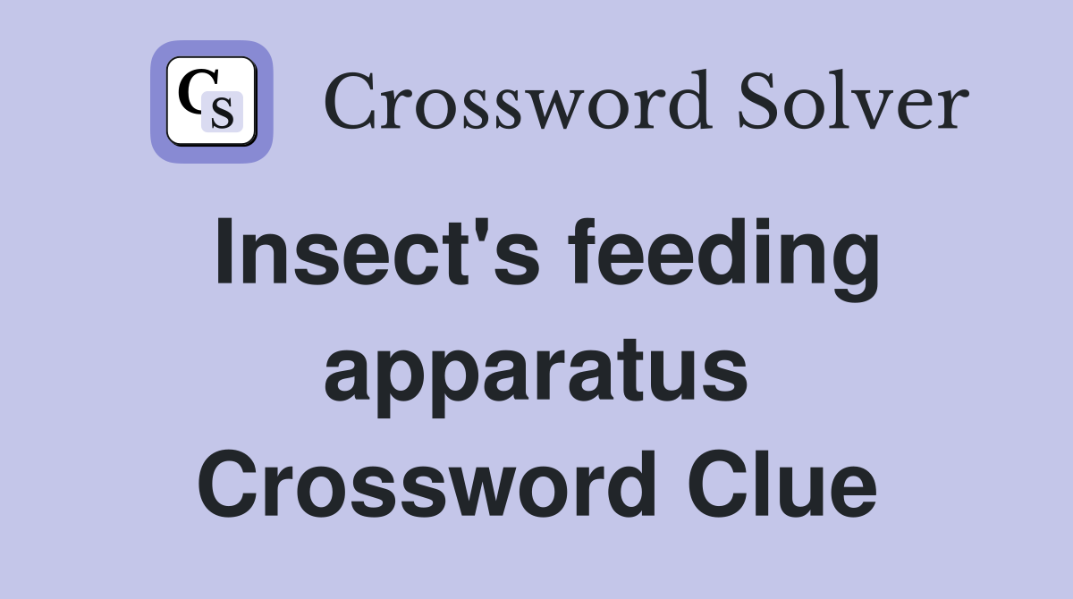 Insect's feeding apparatus Crossword Clue