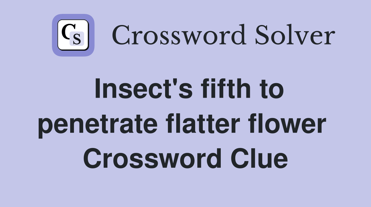 Insect's fifth to penetrate flatter flower  Crossword Clue