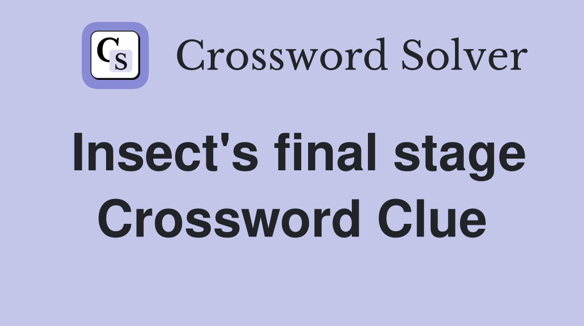 Insect's final stage Crossword Clue