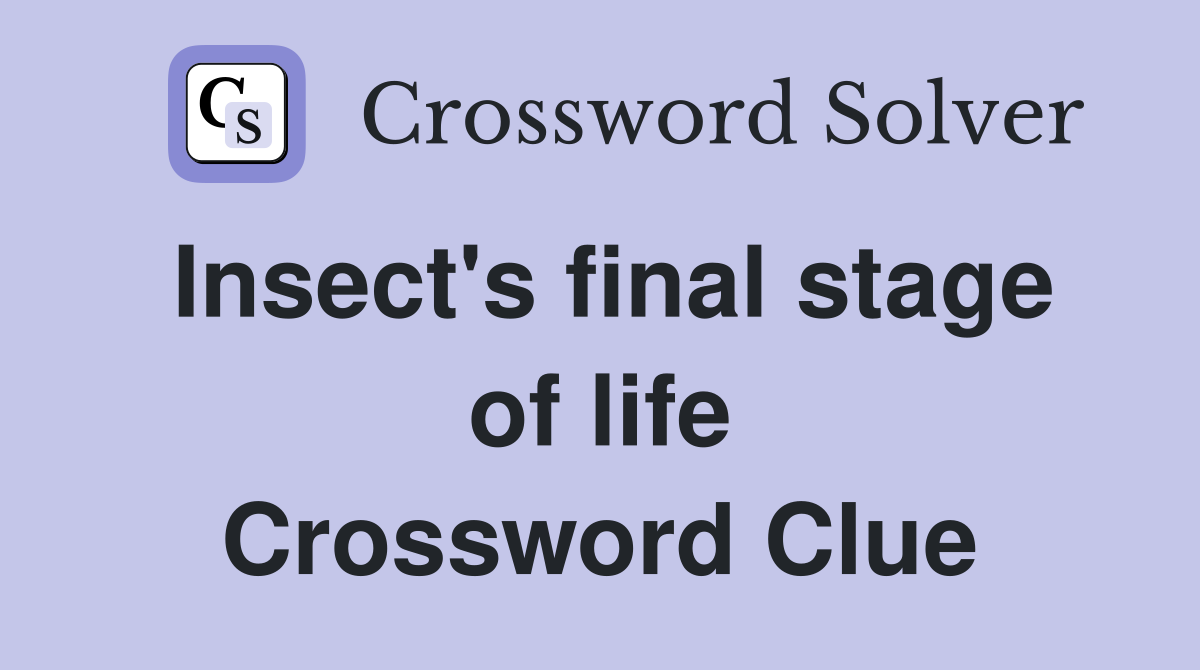Insect's final stage of life Crossword Clue