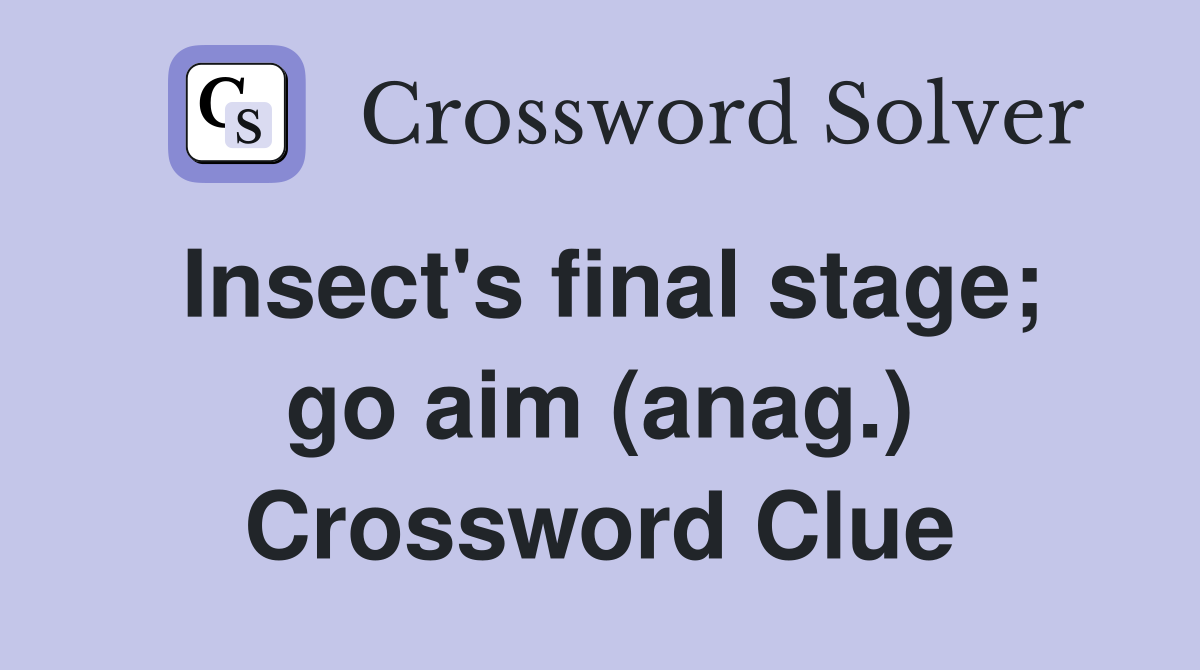 Insect's final stage; go aim (anag.) Crossword Clue