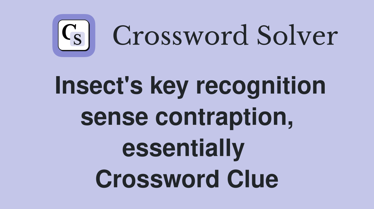 Insect's key recognition sense contraption, essentially  Crossword Clue