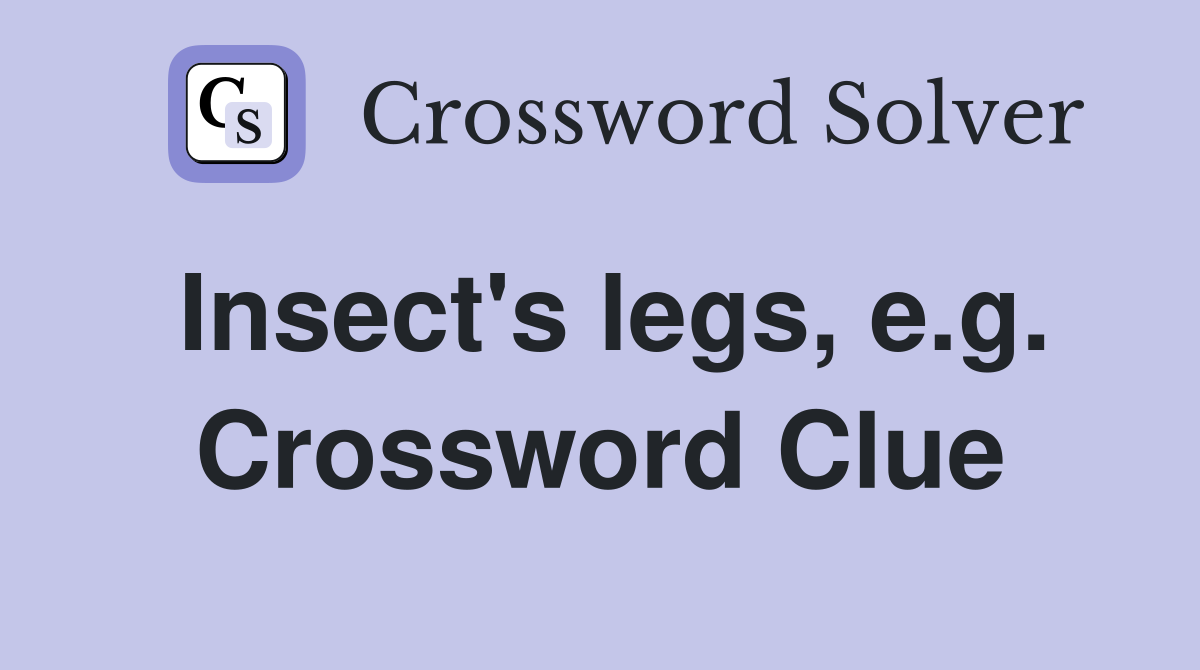 Insect's legs, e.g. Crossword Clue