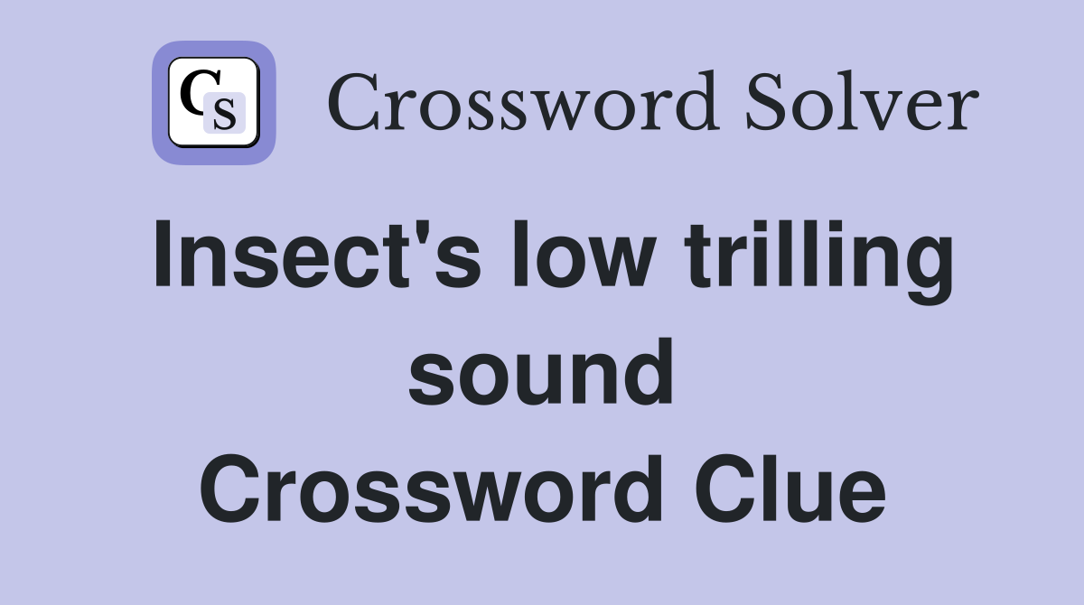 Insect's low trilling sound Crossword Clue