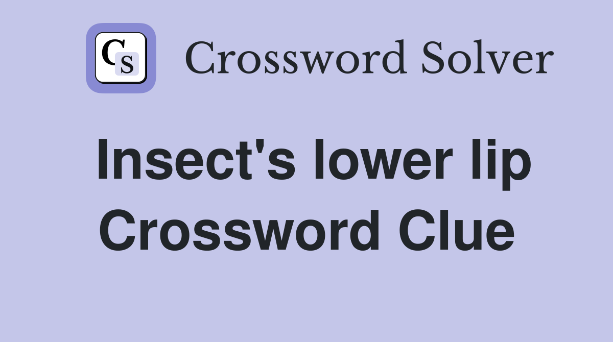 Insect's lower lip Crossword Clue