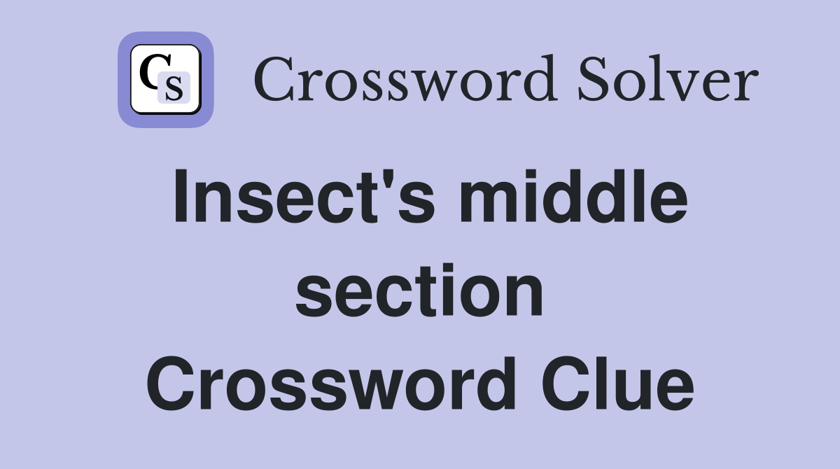 Insect's middle section Crossword Clue
