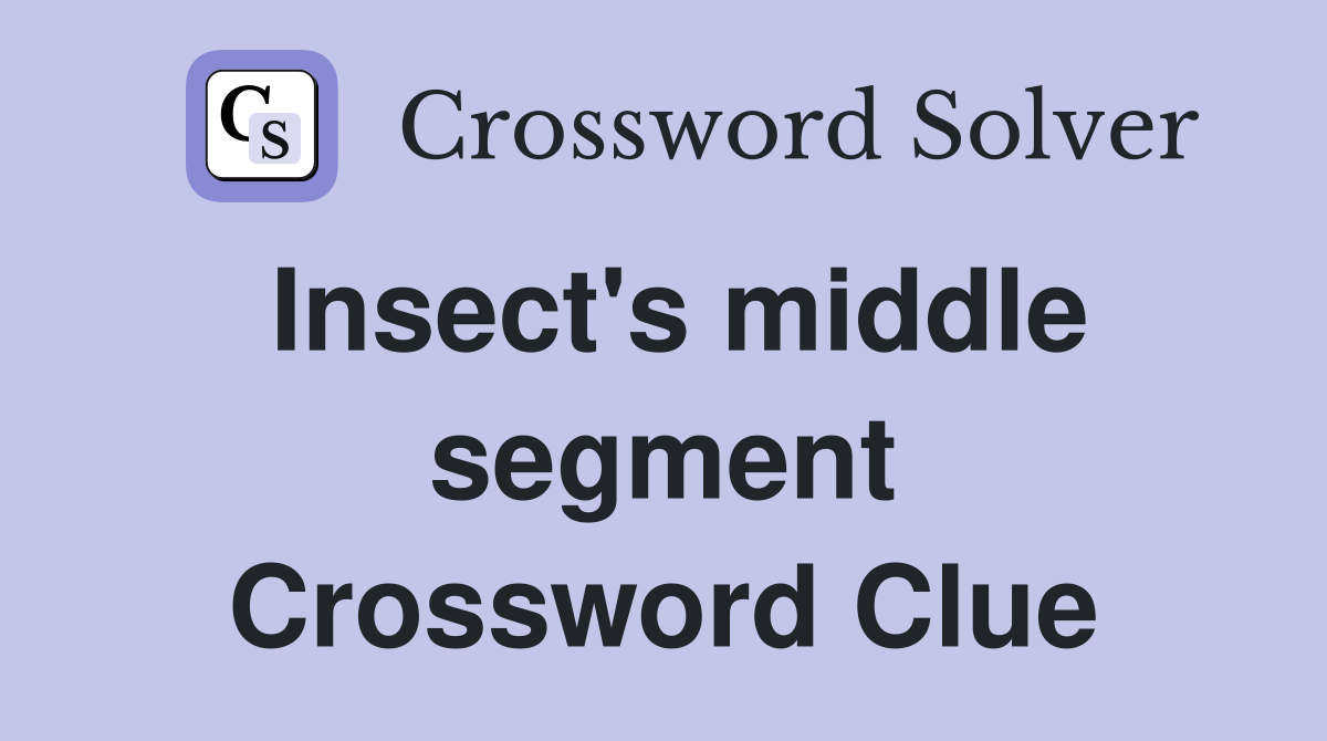 Insect's middle segment Crossword Clue