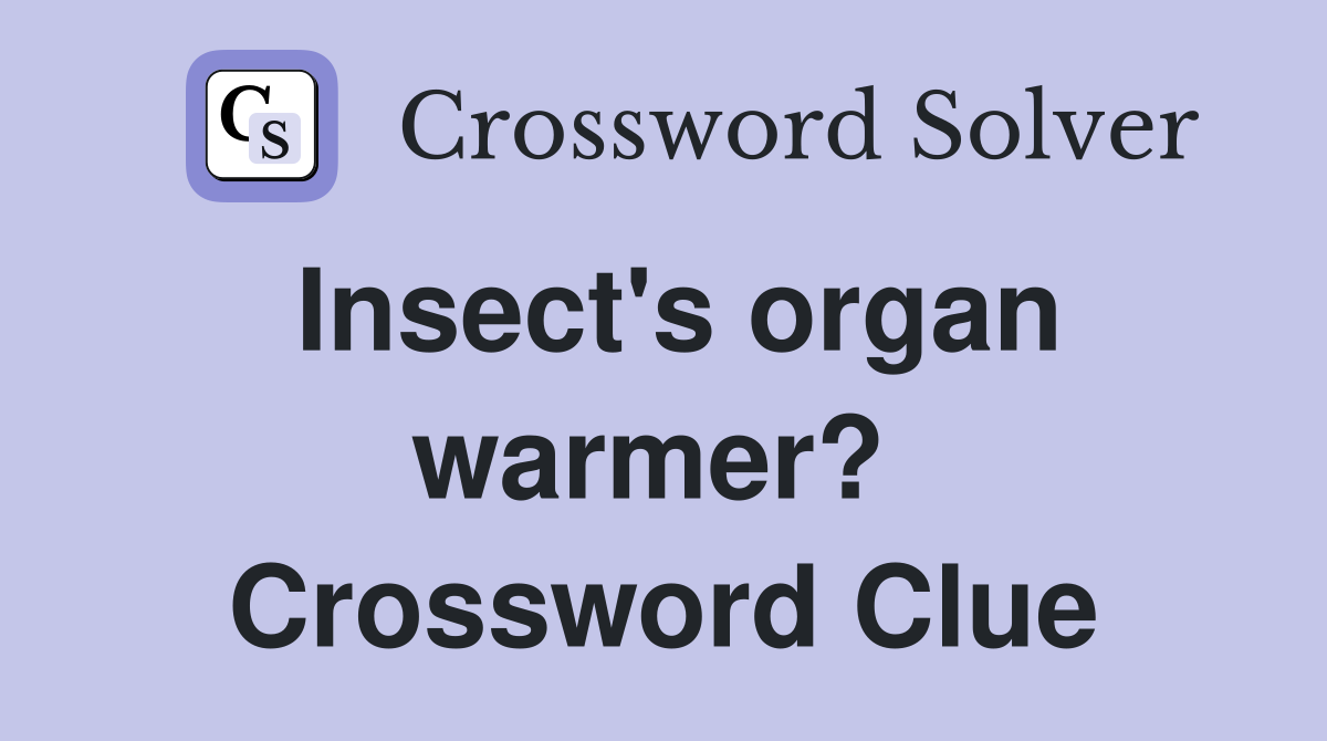 Insect's organ warmer?  Crossword Clue