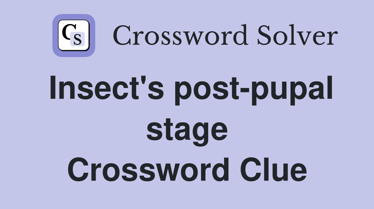 Insect's post-pupal stage Crossword Clue