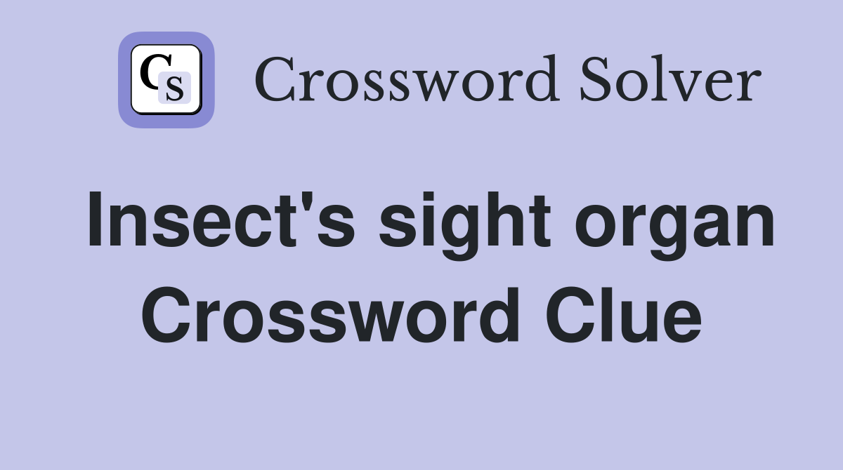 Insect's sight organ Crossword Clue
