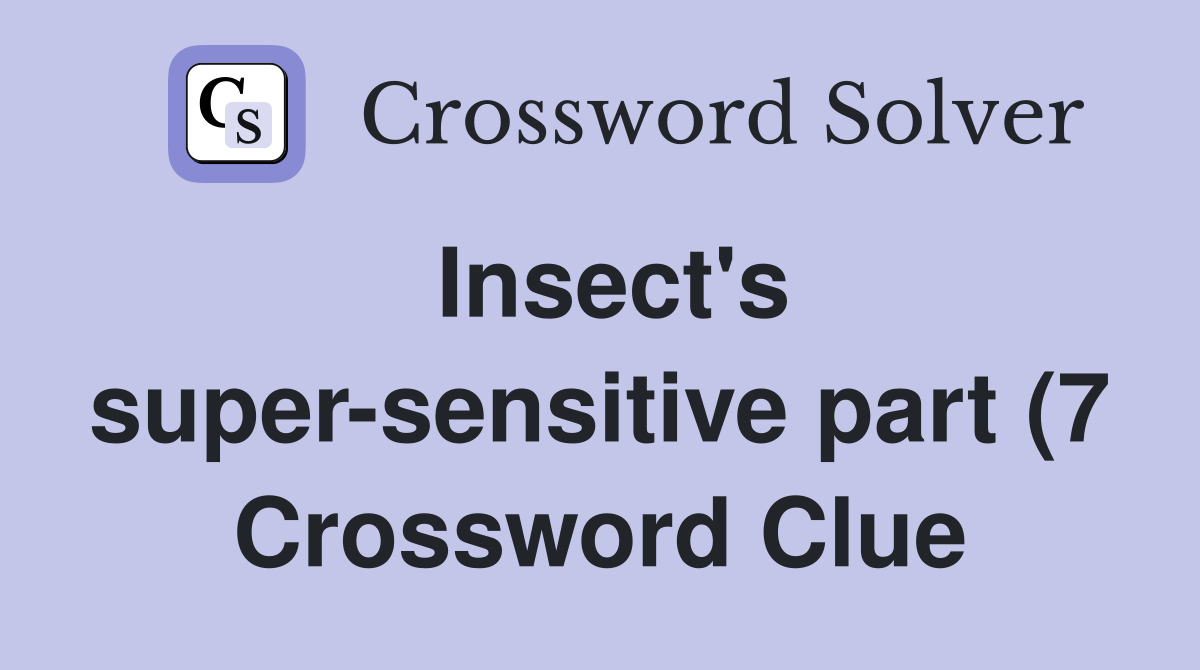 Insect #39 s super sensitive part (7) Crossword Clue Answers Crossword Insect #39 s super sensitive part (7) Crossword Clue Answers Crossword