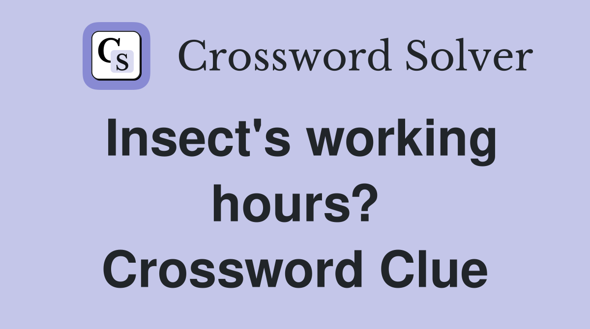 Insect's working hours? Crossword Clue