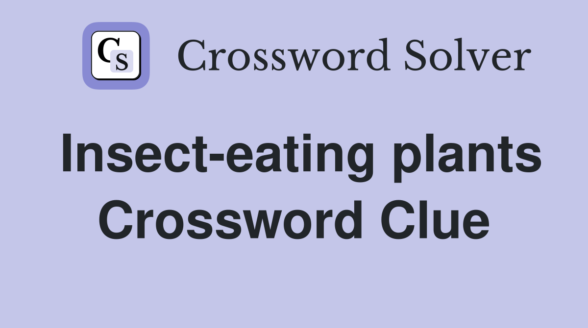 Insect-eating plants Crossword Clue