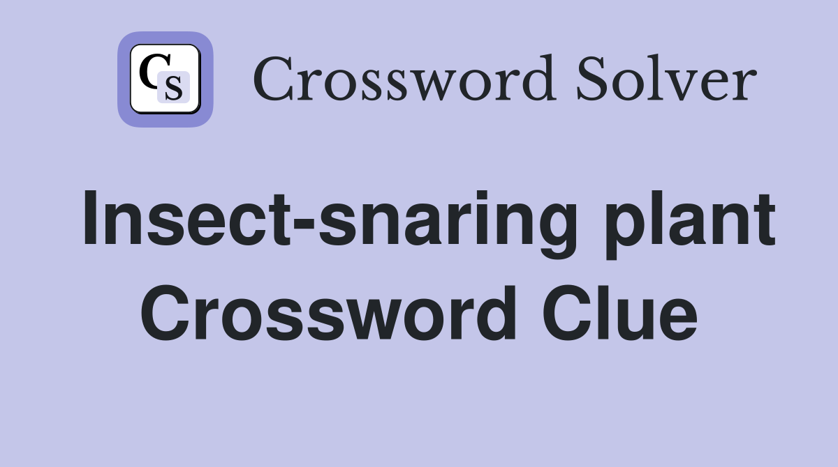 Insect-snaring plant Crossword Clue
