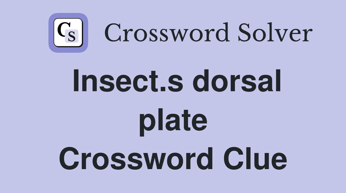 Insect.s dorsal plate Crossword Clue