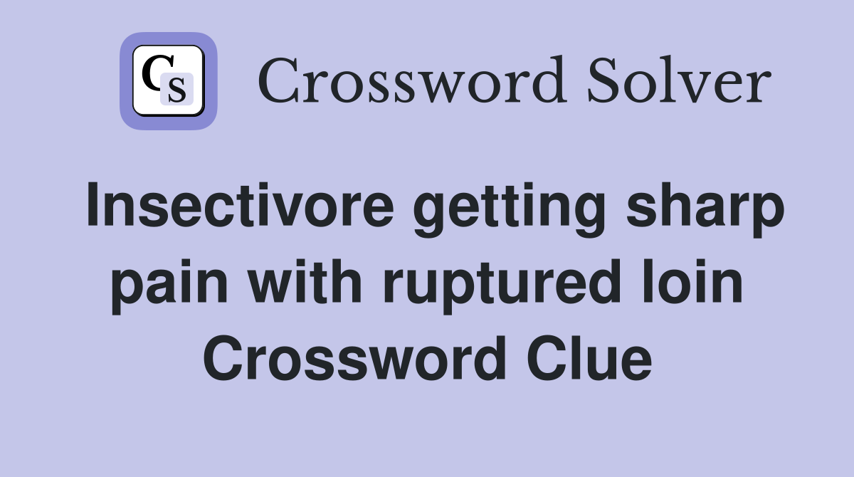 Insectivore getting sharp pain with ruptured loin Crossword Clue
