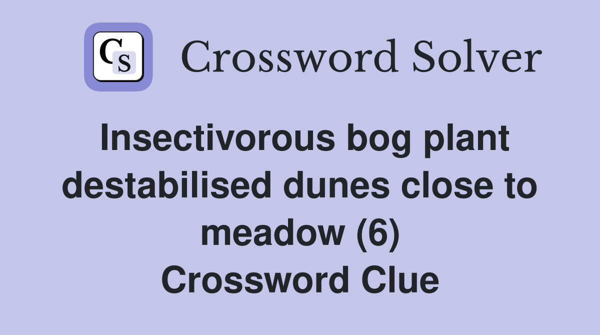 Insectivorous bog plant destabilised dunes close to meadow (6) Crossword Clue