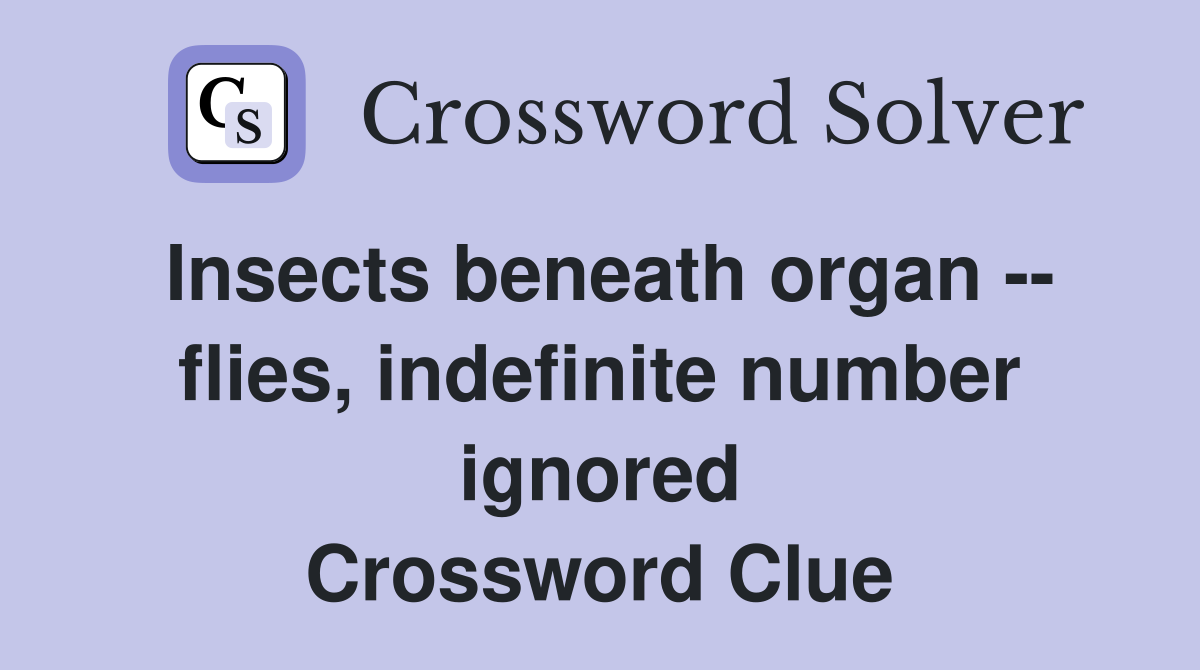 Insects beneath organ -- flies, indefinite number ignored Crossword Clue