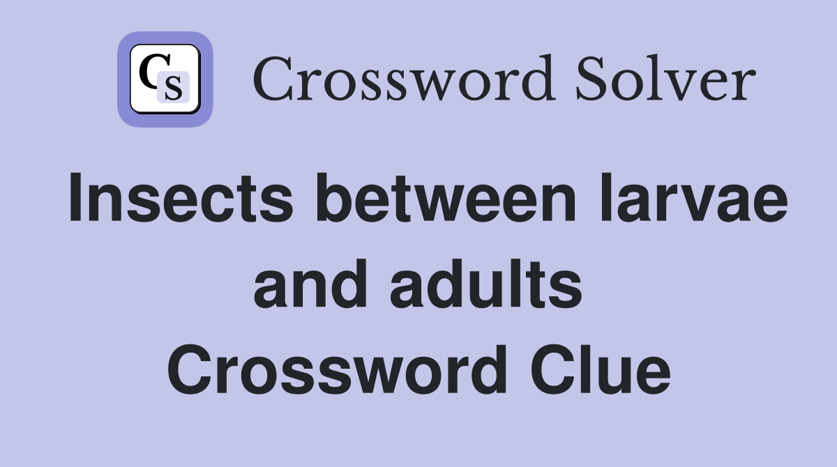 Insects between larvae and adults Crossword Clue