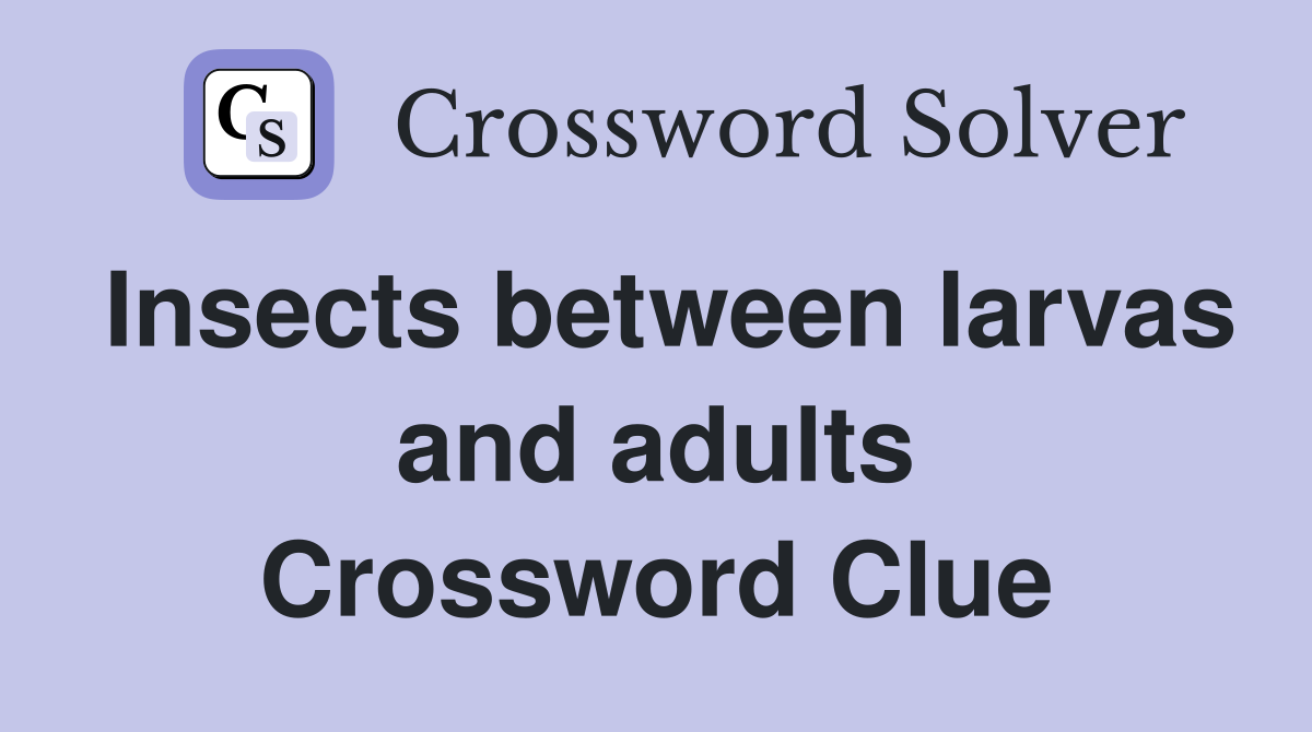 Insects between larvas and adults Crossword Clue