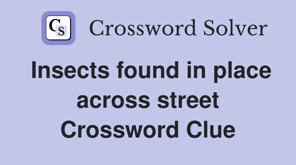 Insects found in place across street Crossword Clue