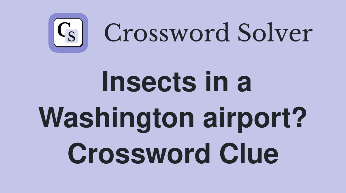 Insects in a Washington airport? Crossword Clue