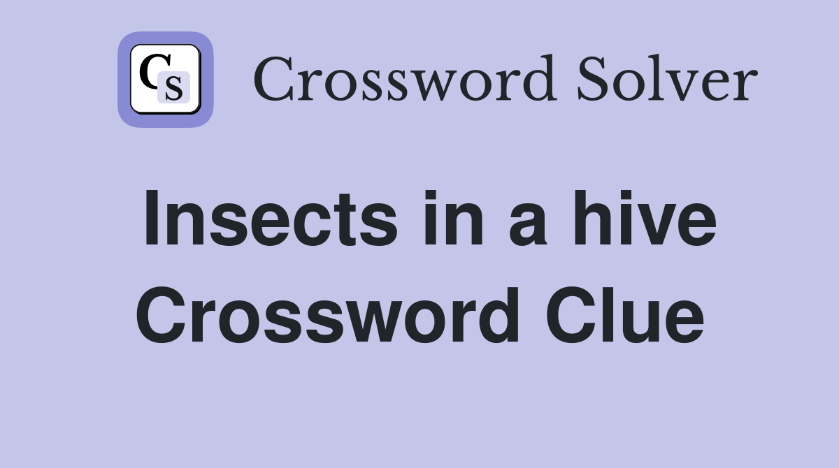 Insects in a hive Crossword Clue