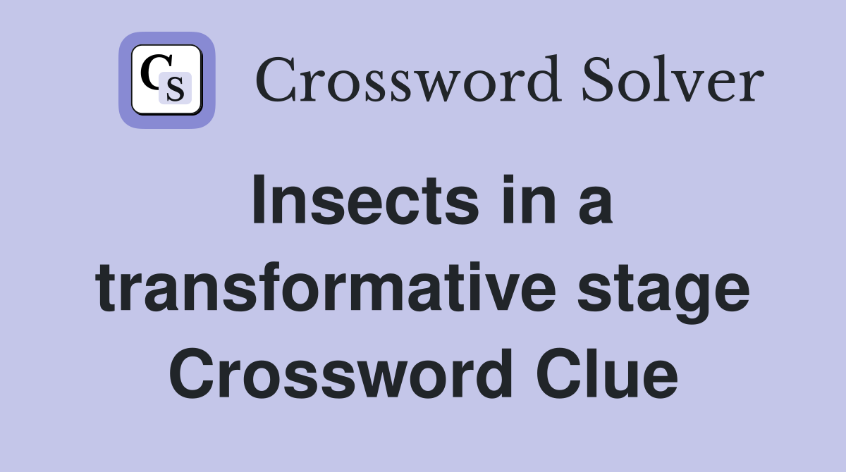 Insects in a transformative stage Crossword Clue